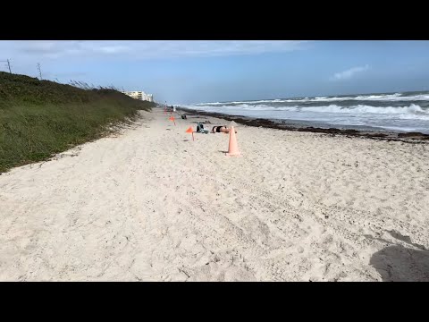 Видео: Флорида 🌴 .	«Мой день у океана: солнце, ветер и шторм Мелисса 🌴