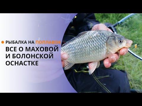 Видео: Как ловить на поплавок? Рыбалка на поплавок. Все о маховой и болонской оснастке