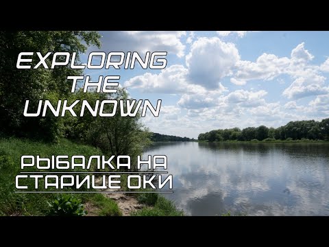 Видео: Рыбалка на старице Оки | Ловля крупной плотвы и густеры