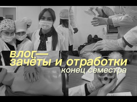 Видео: vlog | выживание в меде |  17-18 недели | 1 курс
