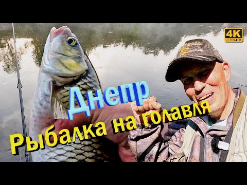 Видео: Река Днепр. Рыбалка на спиннинг с берега