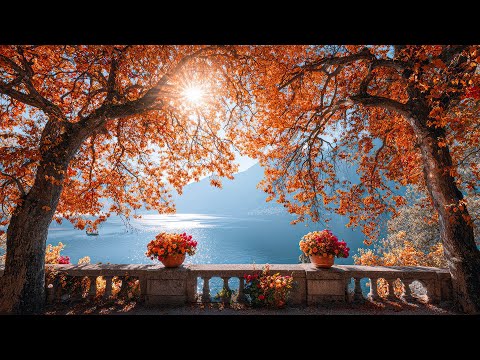 Видео: Успокаивающие осенние мелодии 🍁 Снятие стресса и эмоциональное исцеление
