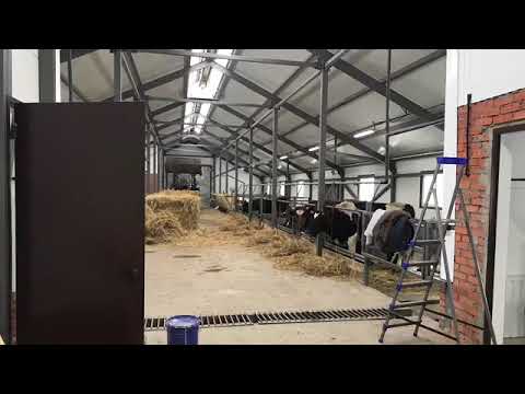 Видео: Как проходит мой рабочий день на ферме. Бизнес идея для деревни.