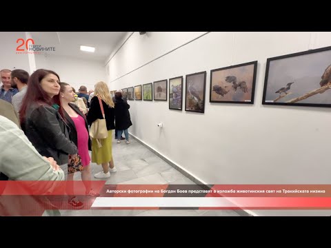 Видео: Авторски фотографии на Богдан Боев представят животинския свят на Тракийската низина