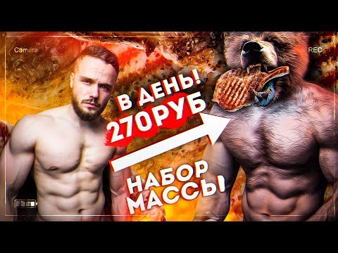Видео: Рацион Медведя на 270 рублей в День (НАБОР МАССЫ)