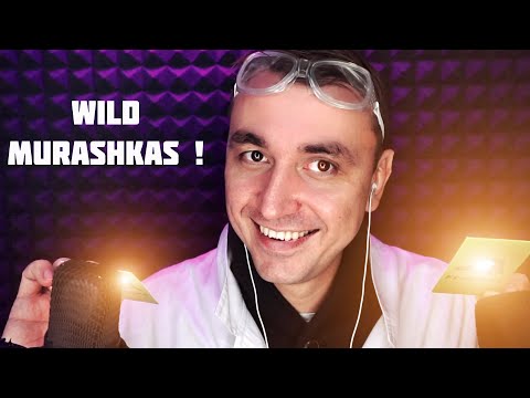 Видео: АСМР Верни Себе Мурашки - 10000 % эффект мурашек гарантирован!