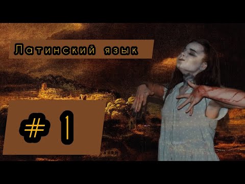Видео: ГРАММАТИЧЕСКИЙ РАЗБОР ПРЕДЛОЖЕНИЯ(начальный уровень) | Латинский язык|часть речи, падеж, число, род
