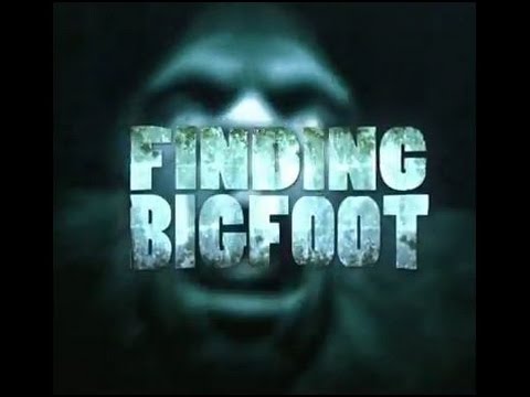 Видео: Он сводит с ума! (Finding Bigfoot)