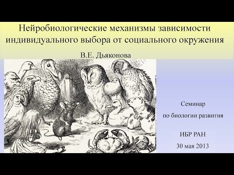 Видео: В.Е.Дьяконова. Биологические механизмы влияния социума на поведение индивидуума
