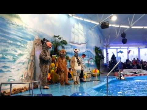 Видео: 06,01,2014 Дельфинарий НЕМО Минск Ледниковый период 1ч 20140106 150209