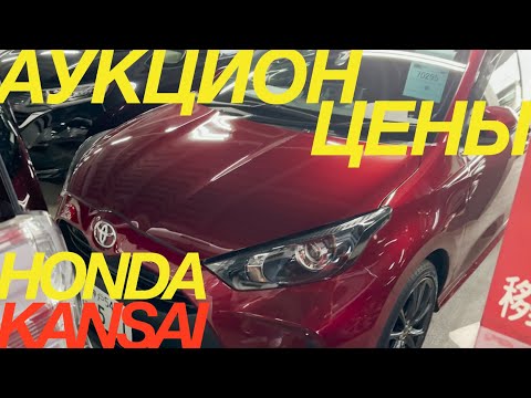 Видео: ЯПОНСКИЕ ТОРГИ НЕ ОСТАНАВЛИВАЮТСЯ