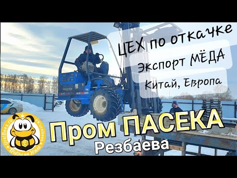 Видео: Пасека Резбаева экспорт мёда в Китай Погрузчик пчел Цех по откачке меда