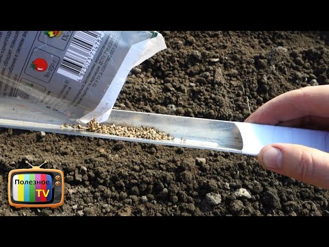Видео: ДЕДОВСКОЕ ПРИСПОСОБЛЕНИЕ ДЛЯ ПОСЕВА МОРКОВИ ГЕНИАЛЬНОЕ ПРОСТО