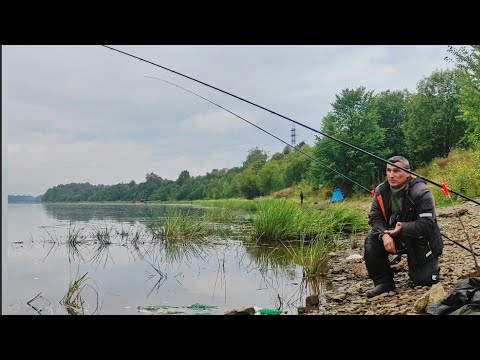 Видео: В этой заводи ловятся здоровенные Лещи. И не только. 