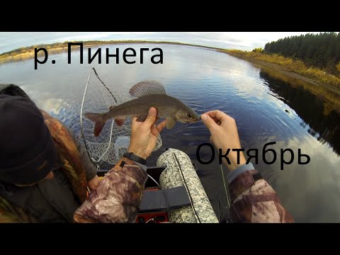 Видео: Рыбалка на самой доступной реке. Закрытие сезона.