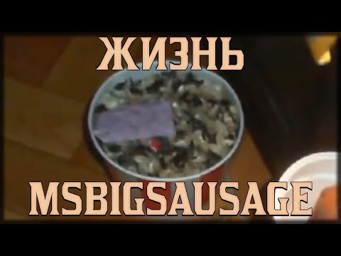 Видео: КАК ЖИВЁТ МСБИГСЭЙГОН?