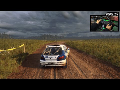 Видео: DiRT Rally 2.0 — Peugeot 306 Maxi Kit Car | Этап ралли в Польше