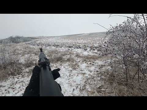 Видео: Загонная охота в горах КБР, лиса, волк, заяц, шакал!!!