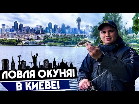 Видео: КАК поймать ОКУНЯ в городе? На какие приманки и КАК ловить окуня?