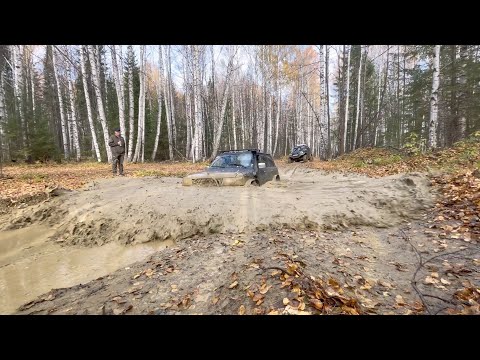 Видео: С Друзьями на Кози