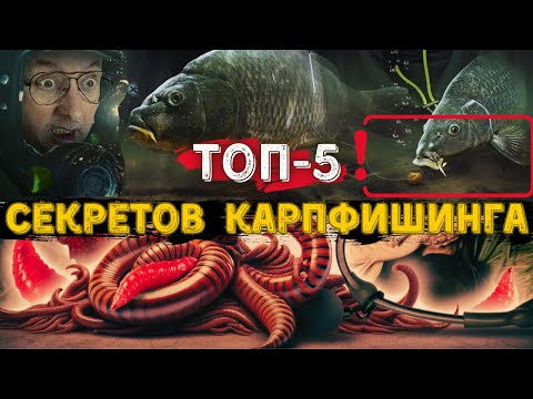 Видео: Что Такое Карпфишинг. Все Секреты и Ошибки Ловли Карпа.