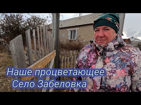 Видео: В прошлом жило много немцев.Уютный посёлок Забеловка.