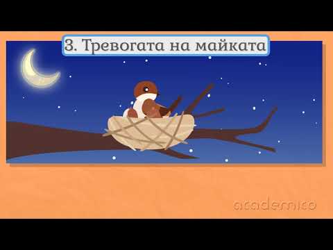 Видео: Преразказ на разказ - Български език и литература 2 клас | academico