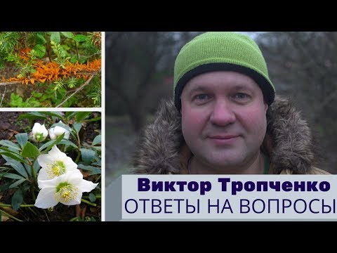 Видео: Зоны морозостойкости, посадка растений с их учетом; тенистый сад; выращивание морозников
