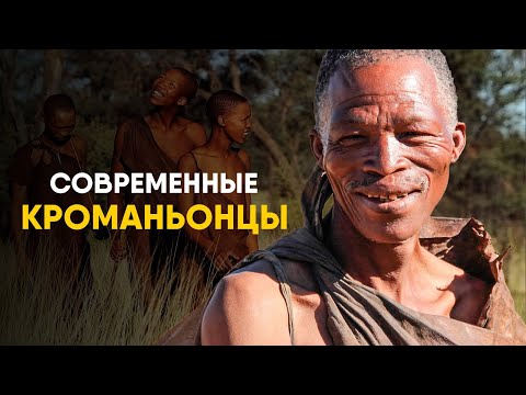 Видео: Бушмены - самый древний народ на Земле. 50 тысяч лет без контактов!
