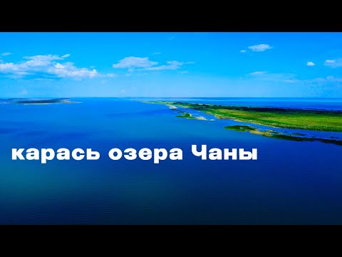 Видео: САЗАН. Карась. Путешествие на озеро ЧАНЫ