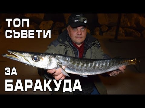 Видео: Топ съвети за риболов на баракуда