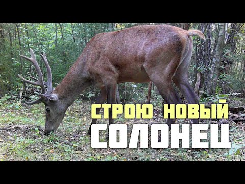Видео: Строю новый солонец
