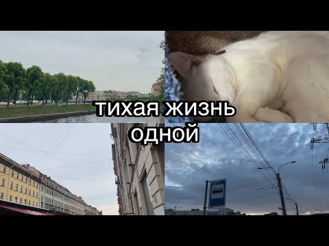 Видео: тихая жизнь одной | встречи с подругами, кошачий приют и рабочие будни