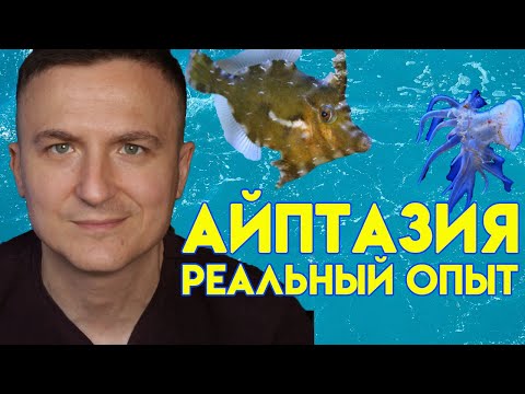 Видео: айптазия в морском аквариуме | acreichthys tomentosus | вредители в морском аквариуме | vlog#10