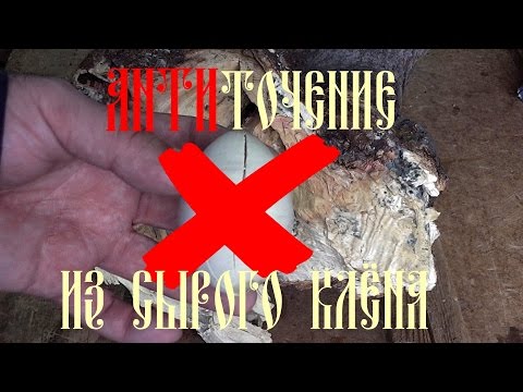 Видео: АНТИТОЧЕНИЕ ИЗ СЫРОГО КЛЁНА