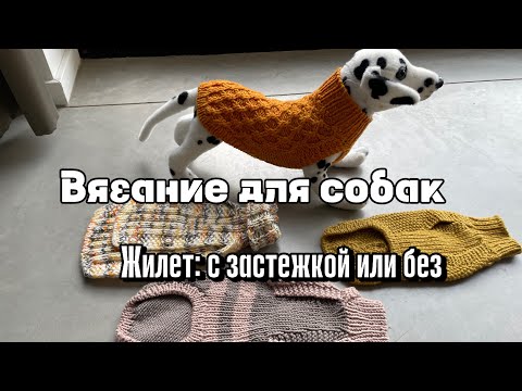 Видео: Вязание для собак: жилет- с застежкой или без