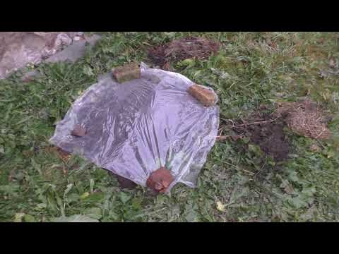 Видео: Зимнее укрытие молодого виноградника