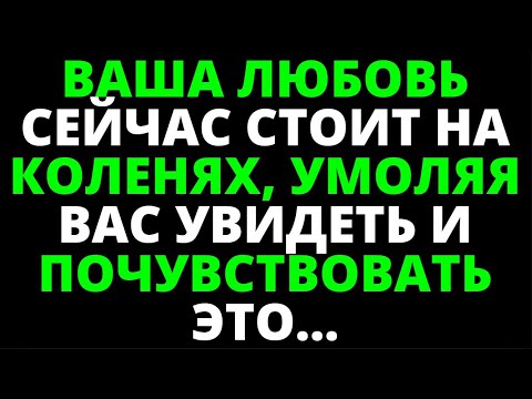 Видео: ВАША ЛЮБОВЬ СЕЙЧАС СТОИТ НА КОЛЕНЯХ, УМОЛЯЯ ВАС УВИДЕТЬ И ПОЧУВСТВОВАТЬ ЭТО...