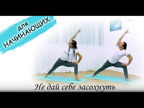 Видео: Хатха-Йога для начинающих и опытных | для всего тела | Не дай себе засохнуть | ЙогаБанда