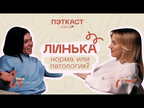 Видео: Пэткаст muzzle #1 / Как избавиться от линьки? (Подкаст про домашних животных)