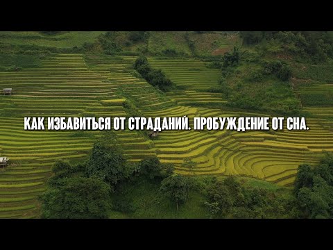 Видео: Как избавиться от страданий эго. Пробуждения от сна.