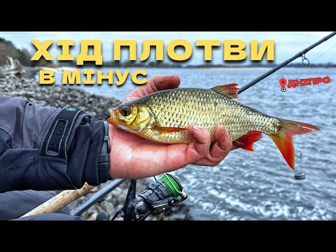 Видео: Хід ПЛОТВИ на Дніпрі‼️Клює як з КУЛЕМЕТА💥 Рибалка на ФІДЕР🎣 Ночуємо в НАМЕТІ⛺️