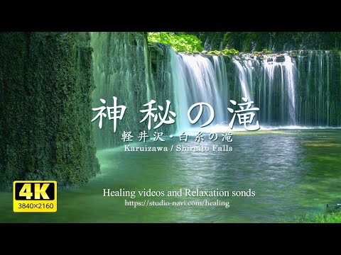 Видео: [Звуки окружающей среды / ASMR] Shiraito no Taki / Звук водопада и журчание реки