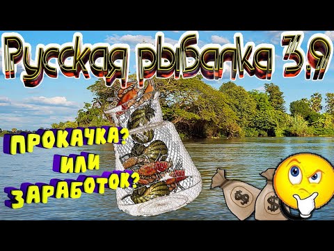 Видео: Русская рыбалка 3.99. БОРНЕО. Что половить!