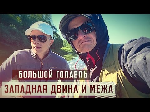 Видео: Большой Голавль. Западная Двина и Межа.