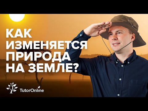 Видео: Природные зоны земли | География