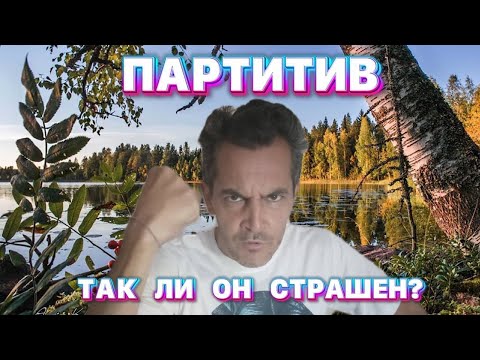 Видео: ПАРТИТИВ за 5 минут! Причем тут Митя выкипел и нихерали?