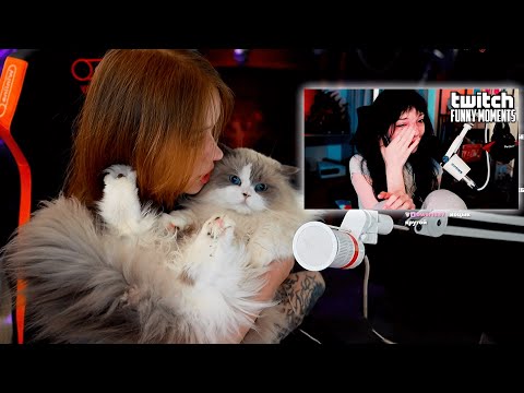 Видео: МОРФИ СМОТРИТ:  Топ Моменты с Twitch | Довели Рыбку