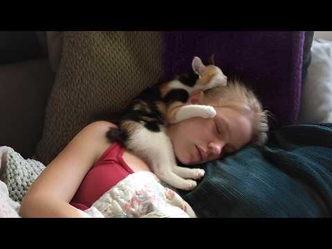 Видео: Кошки учат нас, что любовь — это ответ на все ❤️