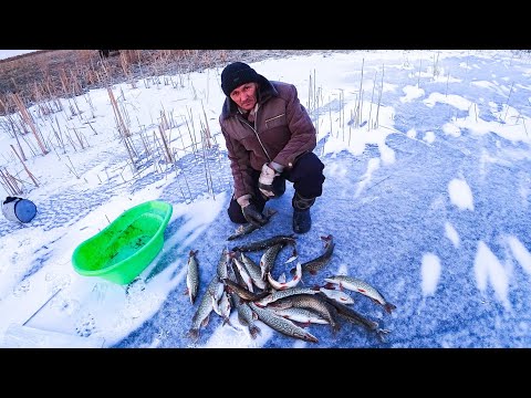 Видео: Әкеммен қысқы балық аулау сезоның жаптық (архив)